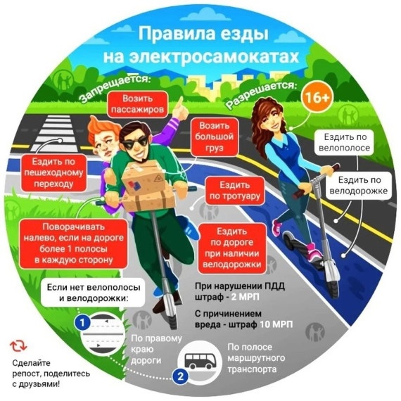 Правила дородного движения.